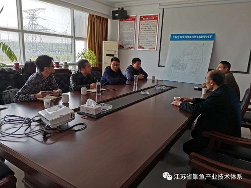 江苏省鮰鱼产业技术体系专家赴沿海开发集团仓东公司 东台公司和南通华鎏水产公司开展